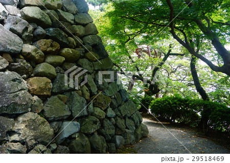 丸岡城　石垣 29518469