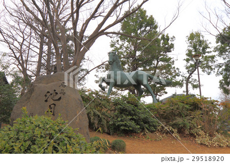 池月 銅像 洗足池 29518920