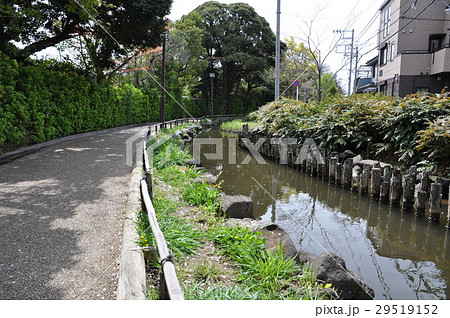一之江境川親水公園 29519152