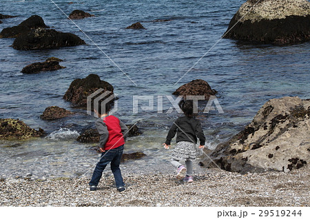 海辺で遊ぶ子供 海辺で遊ぶ子供 29519244