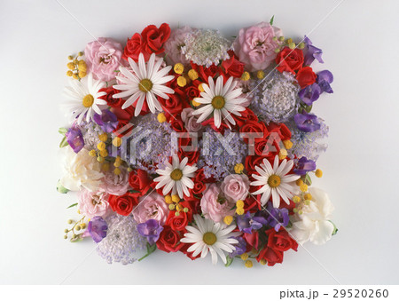 フラワーアレンジメント 29520260