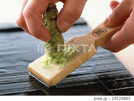 ワサビをおろす 29520805