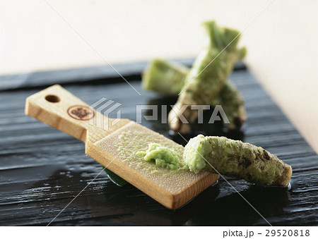 ワサビ ワサビ 29520818