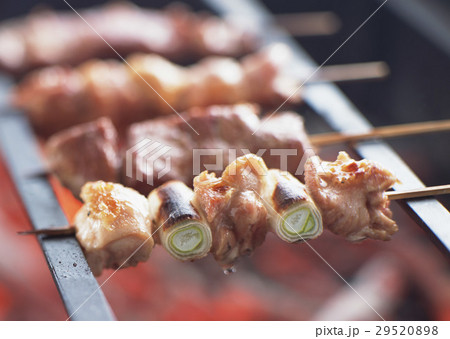 焼き鳥 29520898