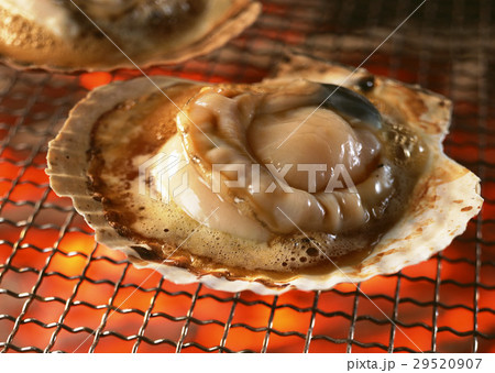 焼きホタテ 焼きホタテ 29520907