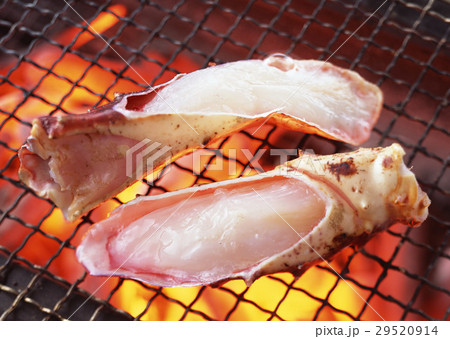 焼きタラバガニ 焼きタラバガニ 29520914