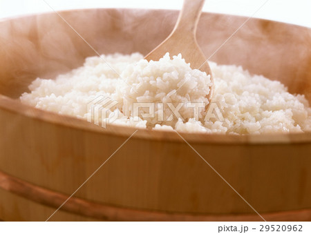 ごはん 29520962