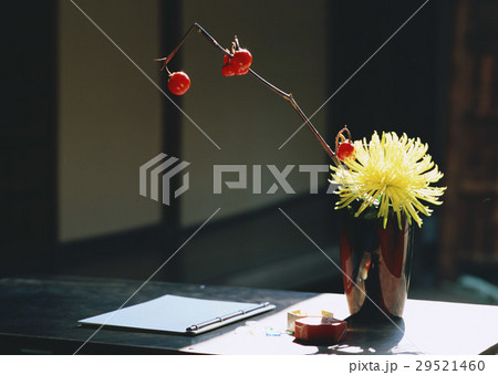生け花 29521460