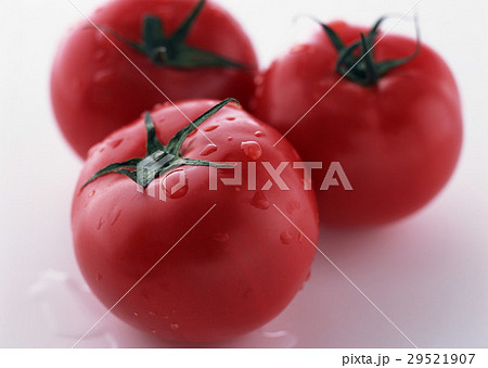 トマト 29521907