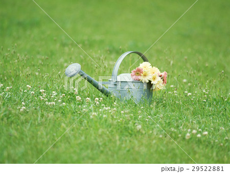 ジョウロ ジョウロ 29522881