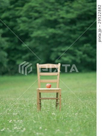 草原の椅子の写真素材