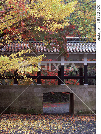 紅葉と回廊 紅葉と回廊 29522920