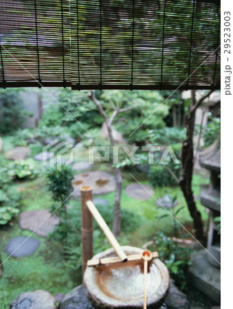 庭 庭 29523003