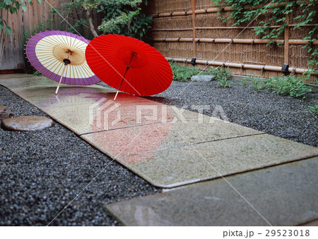 番傘 番傘 29523018