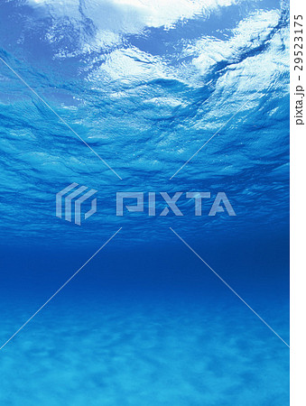 海中 29523175