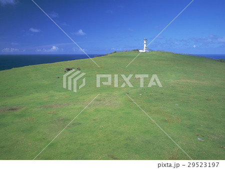 灯台と丘 灯台と丘 29523197