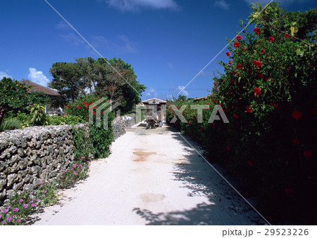 石垣と道 29523226