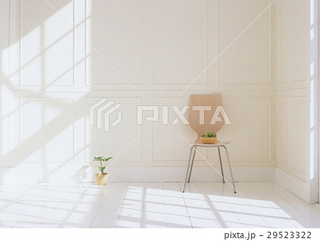 椅子と鉢植え 29523322
