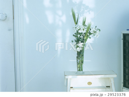 生け花 生け花 29523376