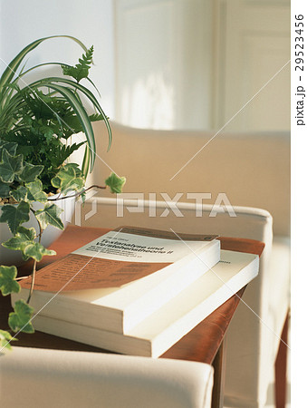 洋書と寄せ植え鉢 29523456