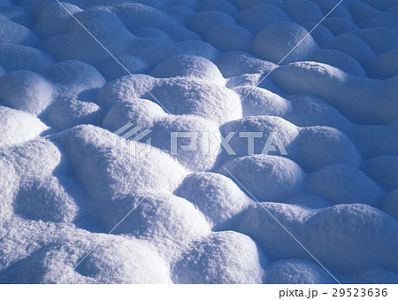 雪原 雪原 29523636