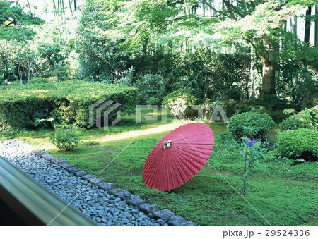宝泉院の庭と番傘 宝泉院の庭と番傘 29524336