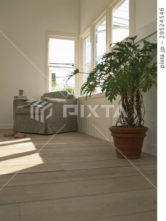 リビングルーム 29524546