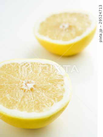 グレープフルーツ 29524713