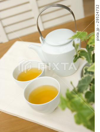 緑茶 緑茶 29524732