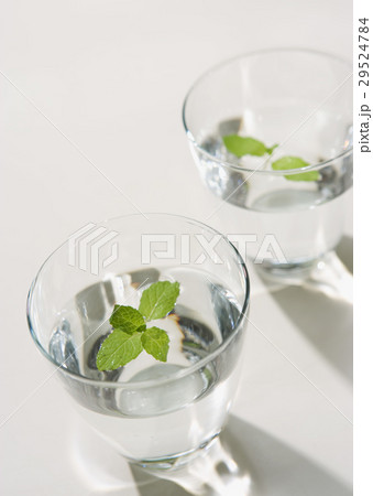 ミント水 29524784