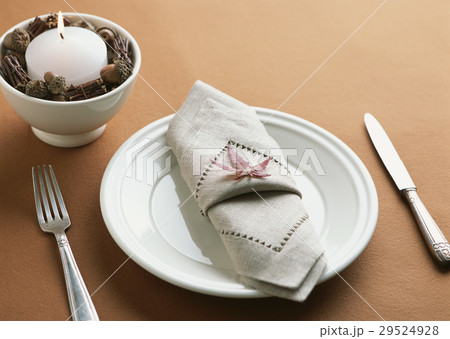 テーブルセッティング 29524928