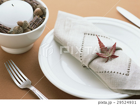 テーブルセッティング 29524931