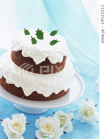 ココアケーキ ココアケーキ 29525211