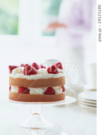 イチゴショートケーキ イチゴショートケーキ 29525280