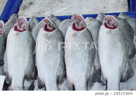 Fresh fish for cooking in the market. Fresh fish for cooking in the market. 29525904