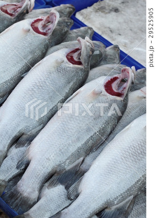 Fresh fish for cooking in the market. Fresh fish for cooking in the market. 29525905