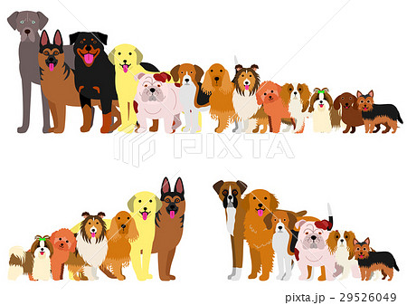 身長順に並んだ犬たちのボーダーのイラスト素材