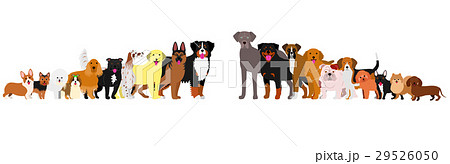 身長順に並んだ犬たちのボーダーのイラスト素材