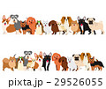 小型犬のボーダーセット 29526055