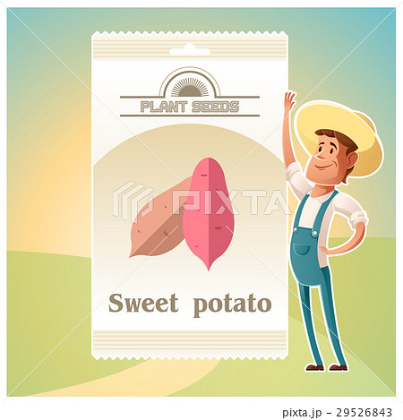 Pack of Sweet potato seeds Pack of Sweet potato seeds 29526843