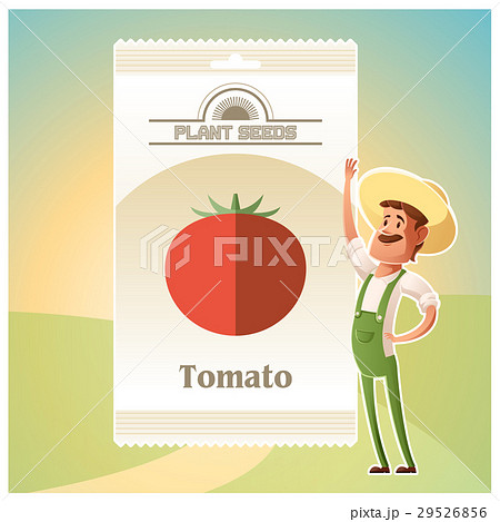 Pack of Tomato seeds Pack of Tomato seeds 29526856