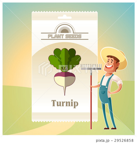Pack of Turnip seeds icon 29526858