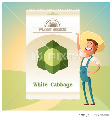 Pack of White Cabbage seeds 29526860