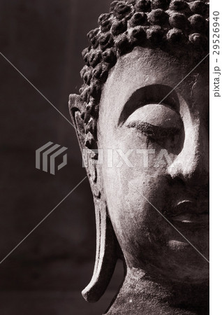 Buddha faced 29526940