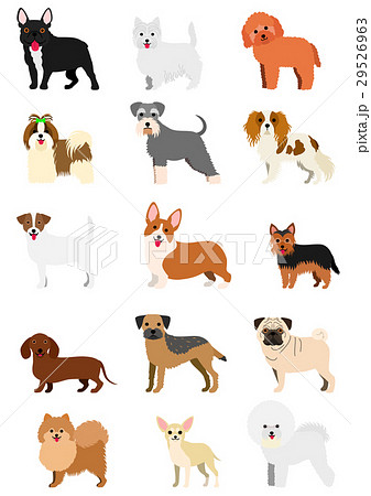 犬の種類 小型犬のイラスト素材 29526963 Pixta
