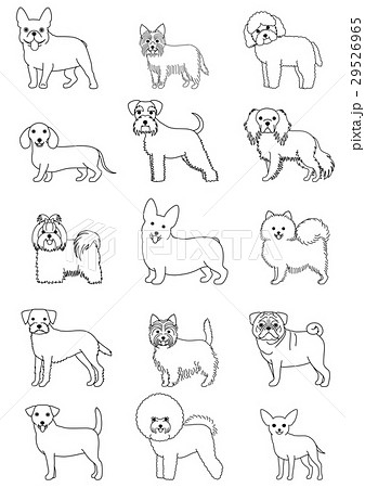 犬の種類 小型犬 線画のイラスト素材