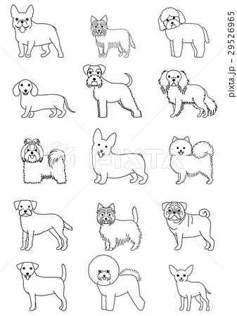 Dog Type Small Dog Drawing Stock Illustration