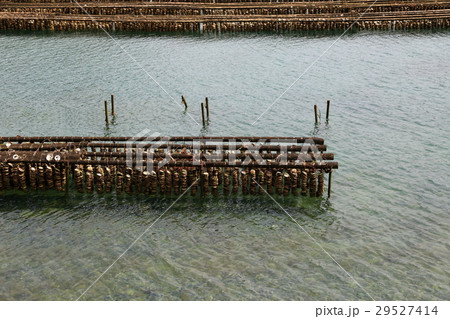 安芸灘大橋 29527414