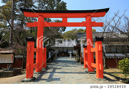 玉津島神社 29528439