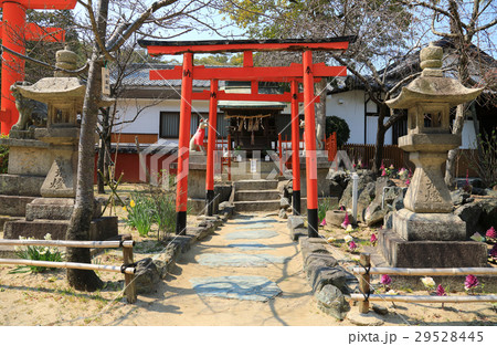 玉津島神社　金高稲荷社 29528445